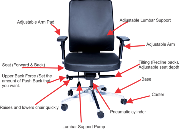 Esse Leather Chair without Headrest - Image 5