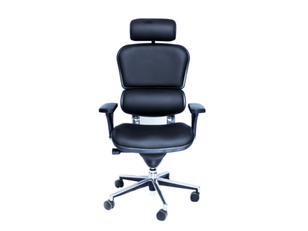 Ergohuman  Leather Chair with Headrest