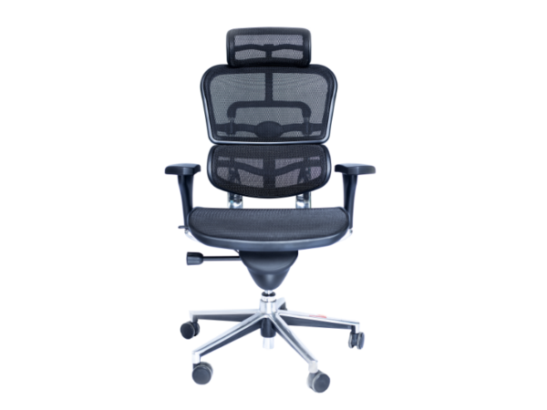 Ergohuman Mesh Chair with Headrest