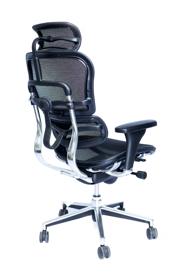 Ergohuman Mesh Chair with Headrest - Image 2