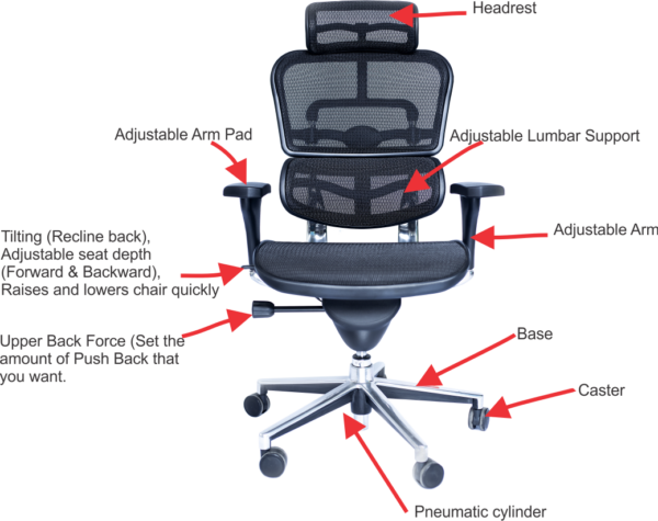 Ergohuman  Leather Chair with Headrest - Image 4