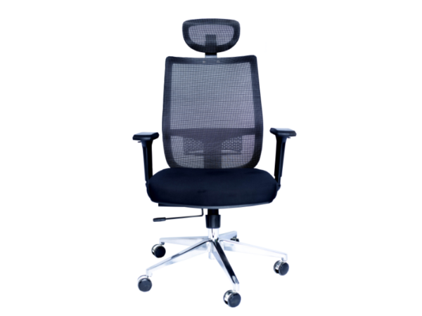 Endurance Chair with headrest
